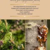 Масло для внутренних работ для дерева - фото 5