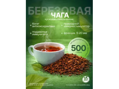 Чага берёзовая: полезные свойства, как заваривать и применять