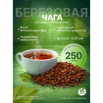 чага березовая фракция 5-20