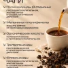 Экстракт чаги чистый склероцин (Бефунгин) 300 гр - фото 4