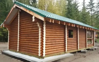 Карнаубский воск