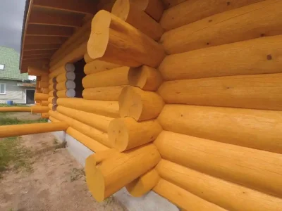 Обработка льняным маслом