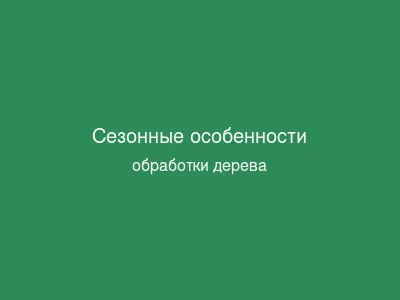 Сезонные особенности обработки дерева